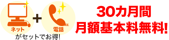 ネットと電話がセットでお得! 最大30カ月間月額料無料!