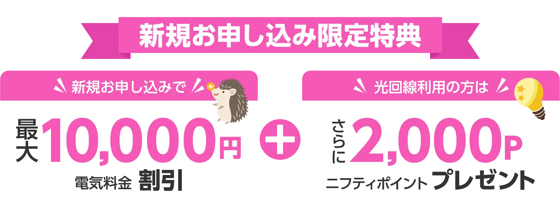 新規お申込みで電気料金 最大10,000円割引キャンペーン