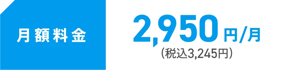 月額費用3,245円