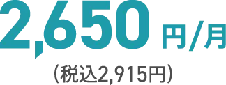 税込み2,915円