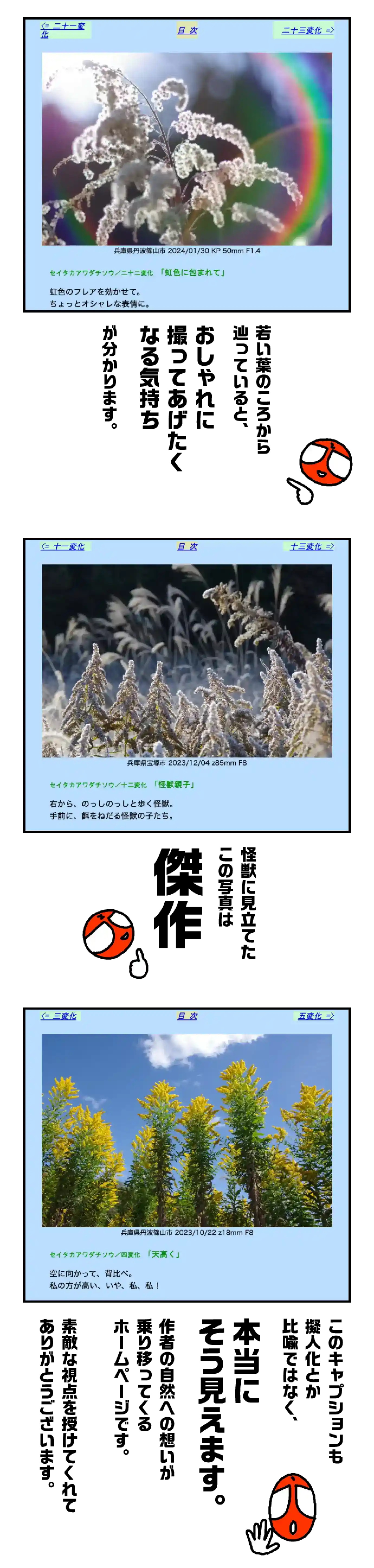 若い葉のころから辿っていると、おしゃれに撮ってあげたくなる気持ちが分かります。怪獣に見立てたこの写真は傑作。このキャプションも擬人化とか比喩ではなく、本当にそう見えます。作者の自然への想いが乗り移ってくるホームページです。素敵な視点を授けてくれてありがとうございます。